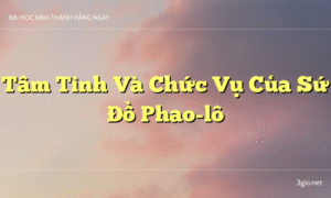 Tâm Tình Và Chức Vụ Của Sứ Đồ Phao-lô