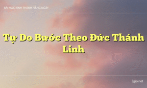 Tự Do Bước Theo Đức Thánh Linh
