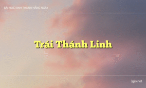 Trái Thánh Linh